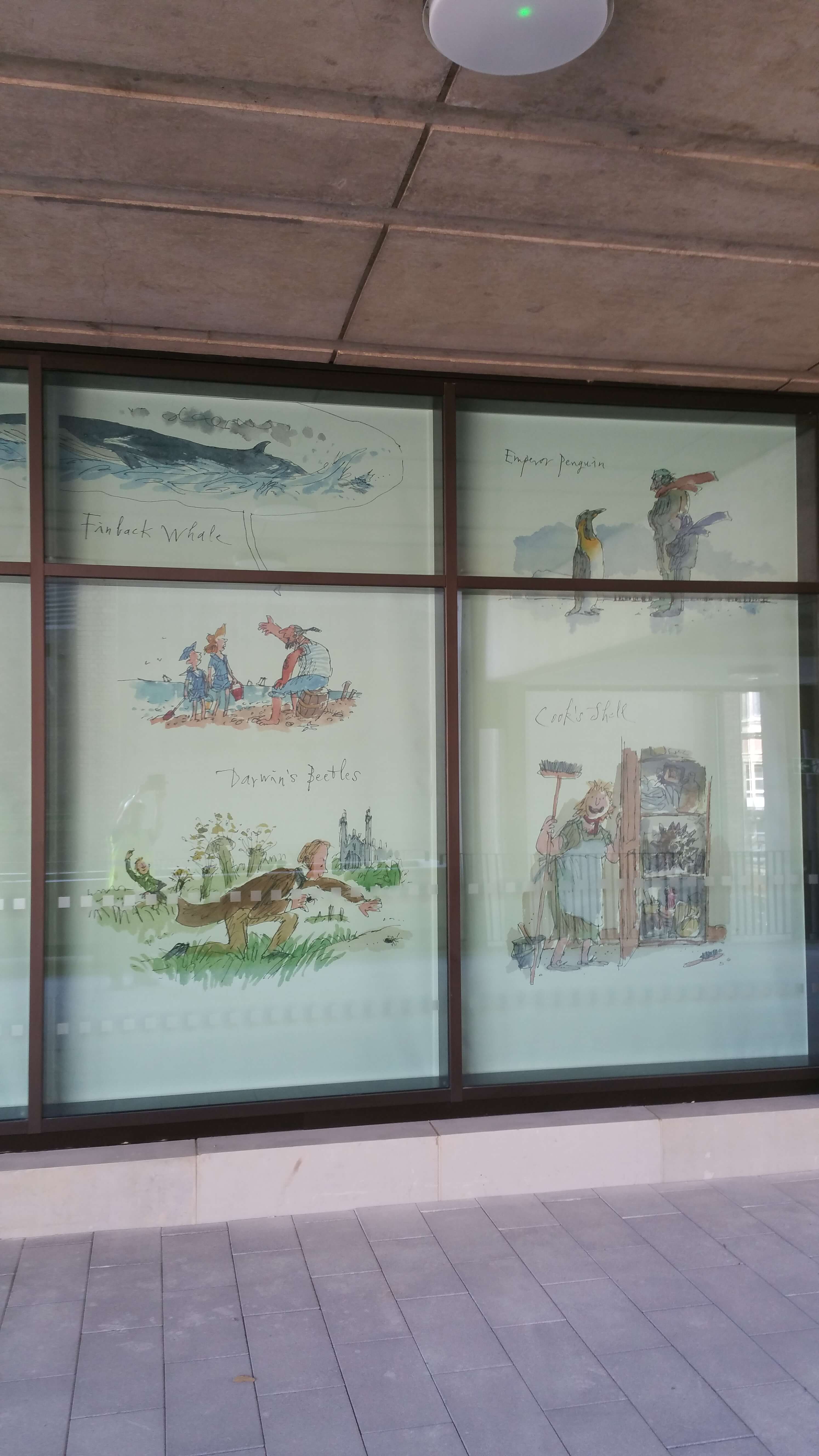 Quentin-Blake-Printed-Blinds